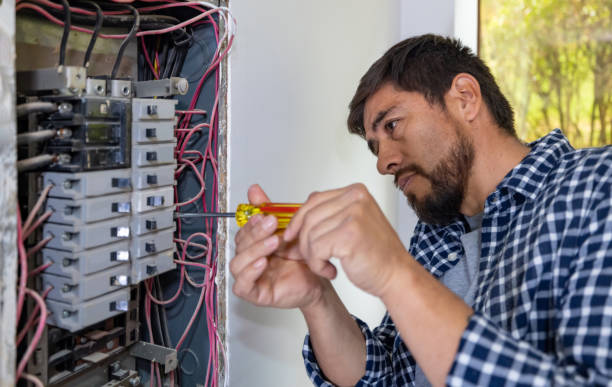 Best Electric Panel Repair  in Donna, TX